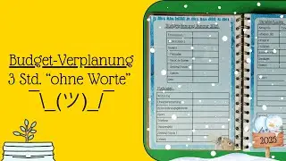 Budgetplanung mit @Schahmytzle | Januar & 1/2 Februar '25 ❄️ | Budgetieren | Umschlagmethode