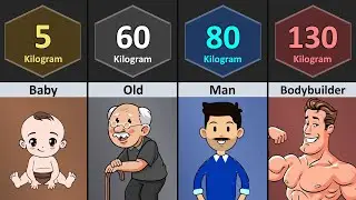 How Much Weight Of _______ Human