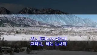Snowbird - Anne Murray: with Lyrics(가사번역) || Flatirons Vista, Boulder, Colorado on Jan. 23, 2018