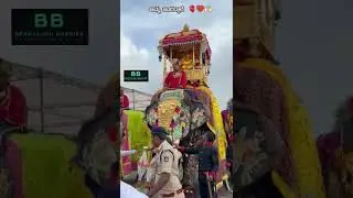 ಅಮ್ಮ ❤️🙌🏻Jambu Savari 2025 ❤🐘 #navaratri #jambusavari2025 #kannada #mysore #karnartaka #ambari2025