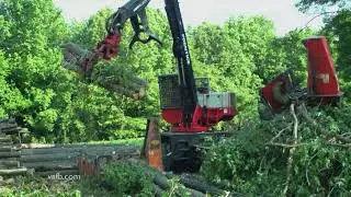 Farm Focus VA Forestry