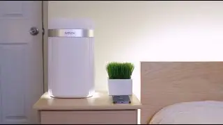 Keeping Your Bedroom/Workspace Fresh with this HEPA Air Purifiers | Welov