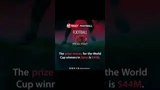 Football Updates #fifa #worldcup #qatar #qatar2022 #Dubai #India #shorts  #tiktok