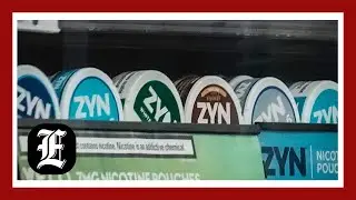 FDA green-lights Zyn nicotine pouches