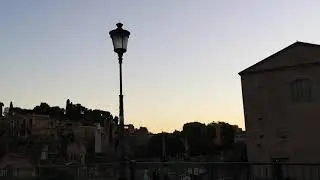 Rome, Italy (Flocks of Birds)