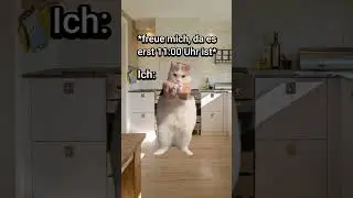 POV: Du hast Hitzefrei🥵 #katzenvideos  #lustig #katzen #katze #schule #shorts  #memes #comedy