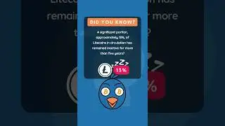 Mysterious Long-Term Holders: 13% of Litecoins Unmoved for Over Five Years!