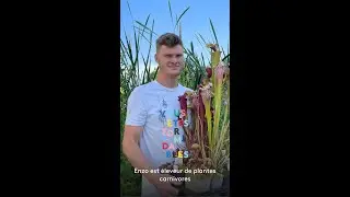Enzo est &eacute;leveur de plantes carnivores