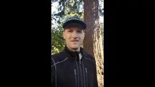 Bite Sized Backroads Trip - Yosemite National Park