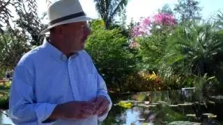 Brazilian Garden Video