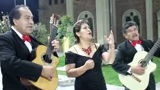 Pasillo Regresa - D Pasión Trío