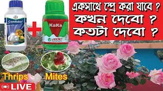 Confidor + KaKa Use on Rose palnt | Bagan Bari Bapan