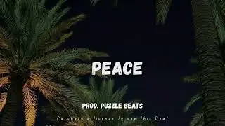Asake  x Young Jonn x  Amapiano x Afrobeat Type Beat 2026 &ldquo;PEACE&rdquo;