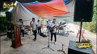 Las cuerdas de mi guitarra 