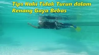Tidak cepat lelah dan menjaga kaki lurus dalam renang gaya bebas (bagian 2)