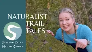 Secret World of Moss | Naturalist Trail Tales