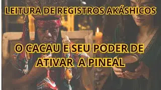 O Cacau pode Desintoxicar sua Pineal