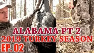 Alabama Turkey Hunting, Part 2 - 2019 Turkey Season Ep. 02