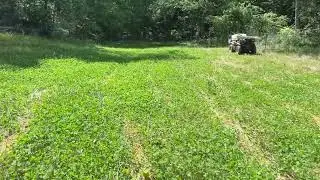 You don&rsquo;t have to spray your deer clover plots!