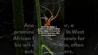 African Mythology | Anansi | #africa #mythology #myths