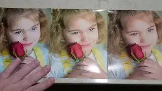 Comparison of 8x10 Prints from CVS, Walgreens, and Walmart