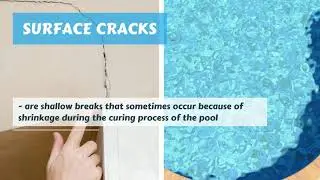5 Effective Ways to Fix a Crack in Your Inground Pool | Call Nelson Pool Company at 941-256-4079