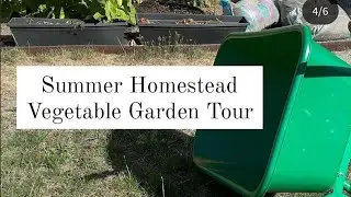 Summer Homestead Vegetable Garden Tour in Victoria BC (with plant names + growing tips) || July 2023
