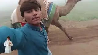 میرے یوٹوب چینل کو سسکراب کرو اور گھنٹی کے بٹن پر کلک کریں