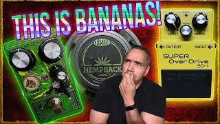 How Close Can They Really Get? — DOD Badder Monkey vs Boss SD-1 | Grudge Match