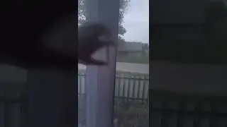 этот вайб,когда играл всю ночь,встаёшь из-за пк,и встречаешь рассвет