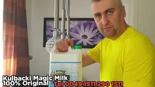 Kulbacki Magic Milk bezpośrednio od Producenta direct from producer, magiczne mleko Kulbackiego