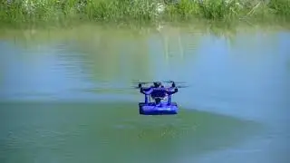 Seahawk in action