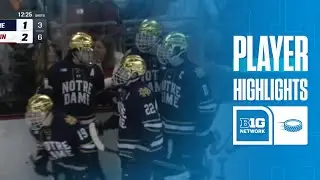 Evan Werner Highlights vs. Wisconsin | Notre Dame Hockey | 02/06/2026