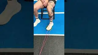 Medial Hamstring Isolation Exercises