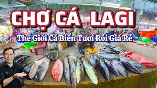 Chợ Cá LaGi Bình Thuận - Thế Giới Cá Biển Tươi Rói Giá Rẻ.