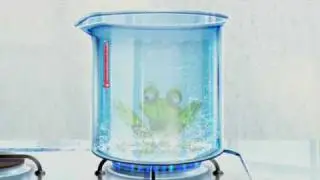 Rescue the frog