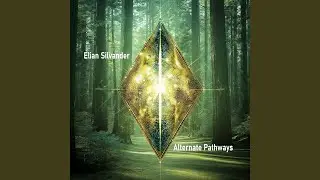 Embrace the Quiet (Alternate Pathways Version)