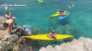 Marine Biology & Conservation Internship & Research - Summer Program 2025