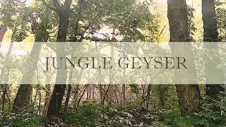 MRGT | JUNGLE GEYSER | ACID TEKNO