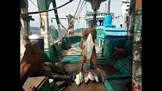 Part (2) Fishing between India & Pakistan Border | Big Ship | 1 Month Tour | Fishing Group Landhi 🐋🐠