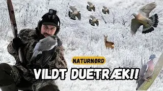 ÅRETS BEDSTE DUETRÆK !! + MØDE MED VÅBEN LEVERANDØR // NATURNØRD 713