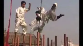 Meihua Quan Kung Fu on and off Meihua Zhuang(Stakes) (Tashan Kung Fu School)