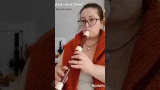 BWV 140 🤗 @TheMarmottesSheetMusic  #practice #blockfl&ouml;te #recorder #bach #kirchenmusik