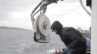 Marine Studies Initiative - Oregon State University