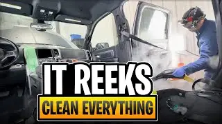 Rotten Animal Smell Owner Can't Handle It Anymore. Causing Medical Issues