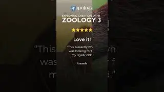 Exploring Creation with Zoology 3: Land Animals
