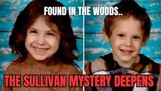 Breaking: New Evidence?! The Strange Clues Found in the Woods | Lily and Jack Update