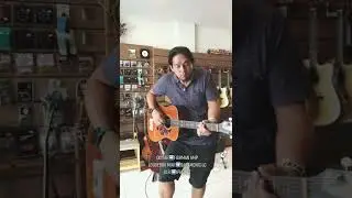 Martin Thinline 332 (Passive) VS L.R.Baggs Element (Active) Piezo Comparison 💥🥊