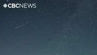Want to catch a glimpse of the Perseids meteor shower? Here's how