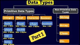 Data Types in Java | Basics of Data Types | Primitive and Non Primitive Data Types in Java